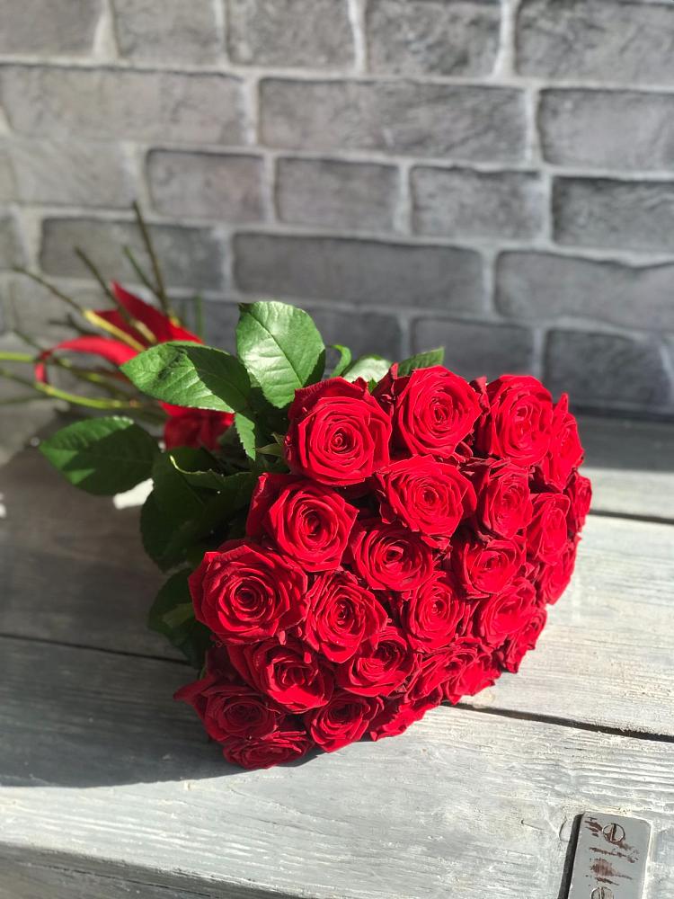 Букет Красные розы Фридом в Горном Новосибирской области