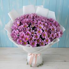 Букет цветов из:  Хризантемы в Горном Новосибирской области