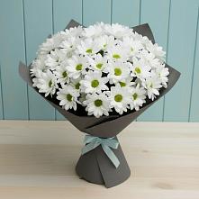 Букет цветов из:  Хризантемы #REPLACE_PRED# Горном Новосибирской области