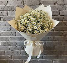 Букет цветов из:  Ромашки в Горном Новосибирской области