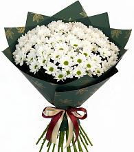 Букет цветов из:  Хризантемы #REPLACE_PRED# Горном Новосибирской области