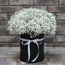 Цветочная композиция из Гипсофила в шляпной коробке #REPLACE_PRED# Горном Новосибирской области