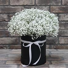 Цветочная композиция из Гипсофила в шляпной коробке в Горном Новосибирской области