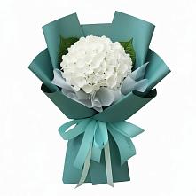 Букет цветов из:  Гортензия в Горном Новосибирской области